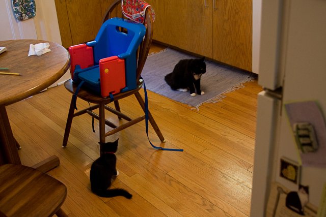 Misha_2008-7-10_IMG_0054